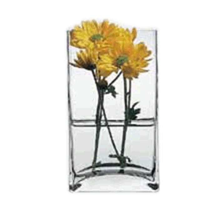Ваза для цветов «Ботаника» стекло ,H=18,L=8,B=10см прозр
