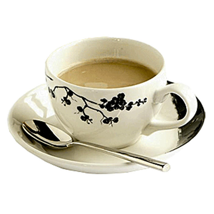 Чашка чайная «Джапоника» фарфор 228мл D=9,H=6,B=12см белый,черный