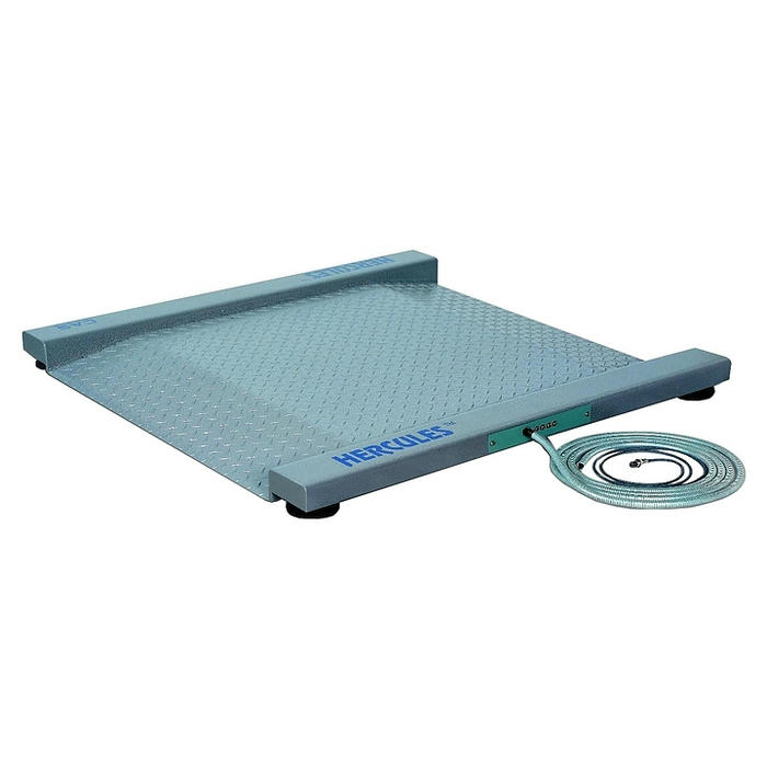 Весы платформенные CAS R-600
